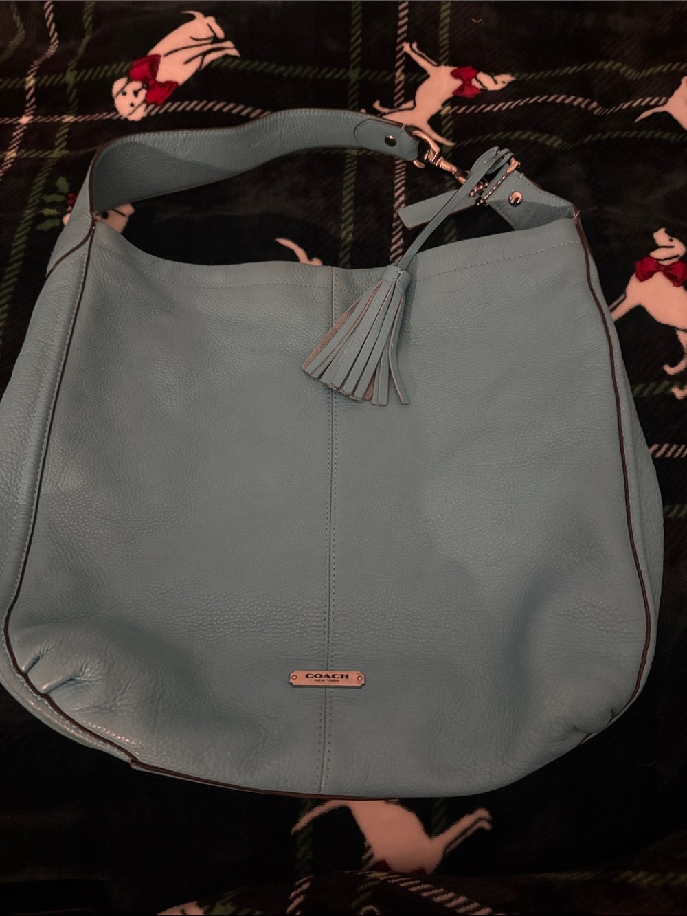 Coach Sky Blue Pebbled Leather Hobo with Tassel